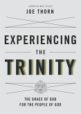 Experiencing the Trinity (eBook, ePUB)