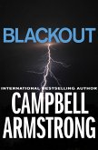 Blackout (eBook, ePUB)