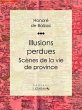Illusions perdues (eBook, ePUB) - Bild 1