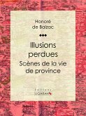 Illusions perdues (eBook, ePUB)