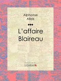 L'affaire Blaireau (eBook, ePUB)