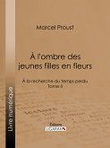 A la recherche du temps perdu (eBook, ePUB)