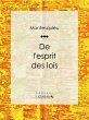 De l'esprit des lois (eBook, ePUB) - Bild 1