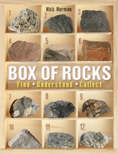 Box of Rocks (eBook, ePUB) - Norman, Nick