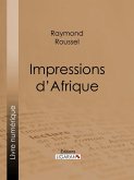 Impressions d'Afrique (eBook, ePUB)