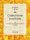 Catéchisme positiviste (eBook, ePUB)