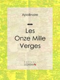 Les Onze Mille Verges (eBook, ePUB)
