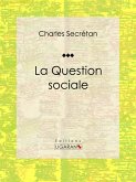 La Question sociale (eBook, ePUB)