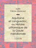 Aquitaine et Languedoc, ou Histoire pittoresque de la Gaule méridionale (eBook, ePUB)