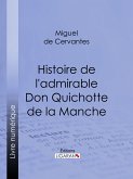 Histoire de l'admirable Don Quichotte de la Manche (eBook, ePUB)