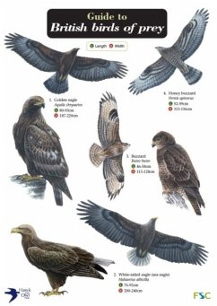Cover Guide to British Birds of Prey
