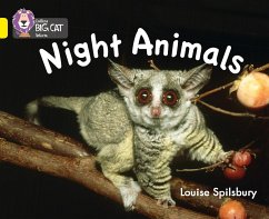 Night Animals - Spilsbury, Louise