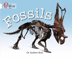 Fossils - Ross, Dr Andrew