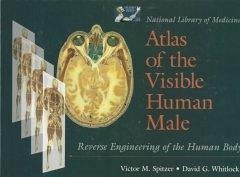 National Library of Medicine Atlas of the Visible Human Male: Reverse Engineering of the Human Body: Reverse Engineering of the Human Body - Spitzer, Victor M.; Whitlock, David G.