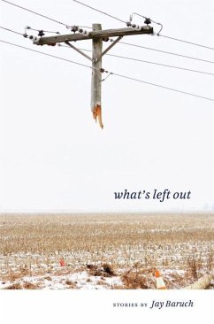 What's Left Out (eBook, ePUB) - Baruch, Jay