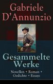 Gesammelte Werke: Novellen + Roman + Gedichte + Essays (eBook, ePUB)