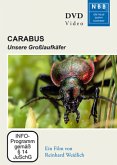 Carabus, 1 DVD Carabus, 1 DVD