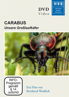 Cover Carabus, 1 DVD