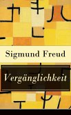 Vergänglichkeit (eBook, ePUB)