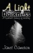 A Light in the Darkness (eBook, ePUB) - Bild 1