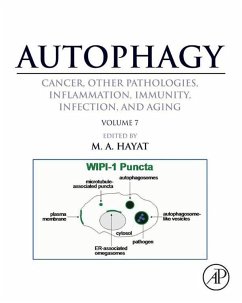 Cover Autophagy: Cancer, Other Pathologies, Inflammation, Immunity, Infection, and Aging (eBook, ePUB)