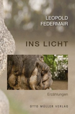 Ins Licht - Federmair, Leopold