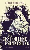 Die gestohlene Erinnerung (eBook, ePUB)