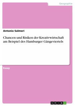 Chancen und Risiken der Kreativwirtschaft am Beispiel des Hamburger Gängeviertels (eBook, PDF)