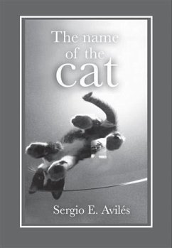 Cover Name of the Cat (eBook, ePUB)