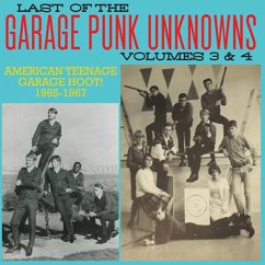 The Last Of..3 & 4 - Various/Garage Punk Unknowns