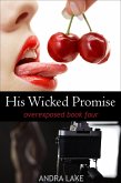 His Wicked Promise (overexposed, #4) (eBook, ePUB) His Wicked Promise (overexposed, #4) (eBook, ePUB)