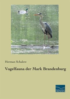 Vogelfauna der Mark Brandenburg - Schalow, Herman