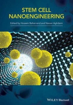 Stem-Cell Nanoengineering (eBook, PDF) - Baharvand, H.