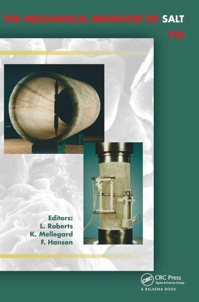 Mechanical Behaviour of Salt VIII Mechanical Behaviour of Salt VIII