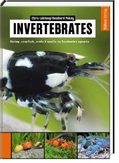 Invertebrates - Lukhaup, Chris;Pekny, Reinhard