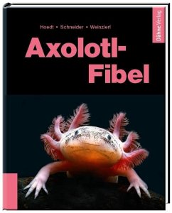 Axolotl-Fibel - Hoedt, Werner;Schneider, Maite