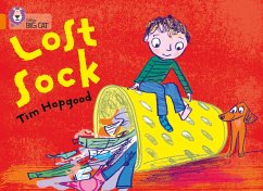 The Lost Sock - Hopgood, Tim