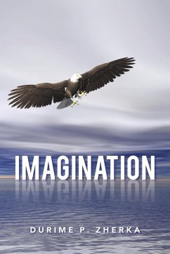 Imagination