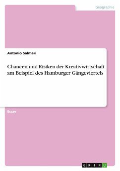 Chancen und Risiken der Kreativwirtschaft am Beispiel des Hamburger Gängeviertels - Salmeri, Antonio