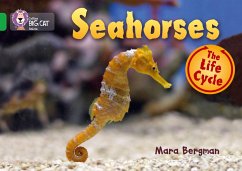 Seahorses - Bergman, Mara