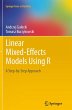 Linear Mixed-Effects Models Using R - Bild 1