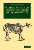 Recherches Sur Les Ossemens Fossiles Des Quadrupèdes 4 Volume Set
