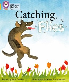 Catching Flies - Crebbin, June