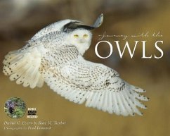 Journey with the Owl - Evers, David; Taylor, Kate