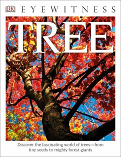 Eyewitness Tree - Burnie, David