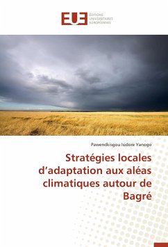 Stratégies locales d'adaptation aux aléas climatiques autour de Bagré - Yanogo, Pawendkisgou Isidore