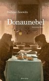 Donaunebel (eBook, ePUB)