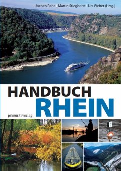 Handbuch Rhein (eBook, PDF)
