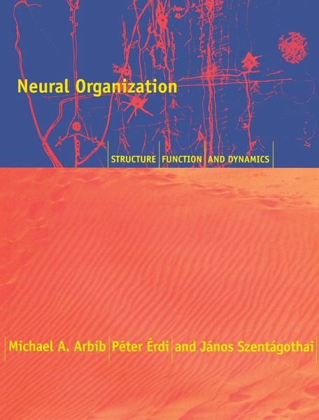 Neural Organization Neural Organization