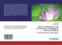 Effect of Metformin and Cinnamon on Histology of Kidney of Rabbits - Khalid, Sidra;Sajjad, Sumera;Malik, Husna Jabeen